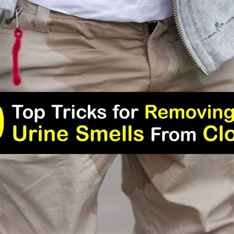 Why do my pants smell like urine?