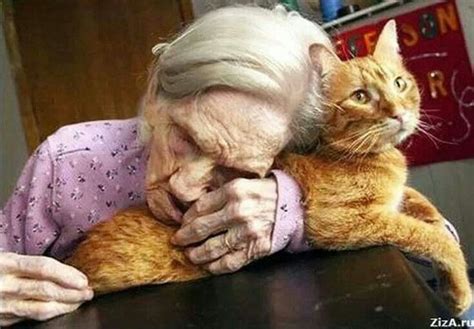 Why do old ladies love cats?