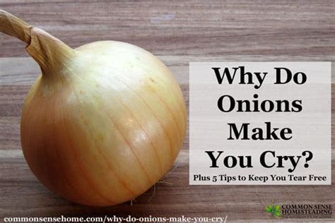 Why do onions hurt my nose?