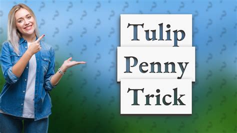 Why do pennies keep tulips straight?