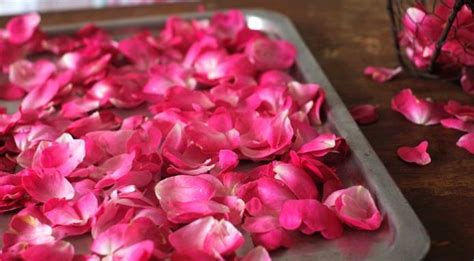 Why do people cook rose petals?