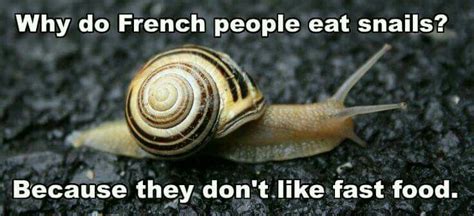 Why do people eat snails but not slugs?