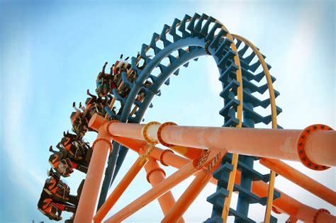 Why do people love rollercoasters and those who do not?