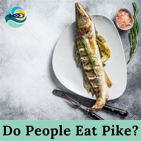 Why do people not eat pike?