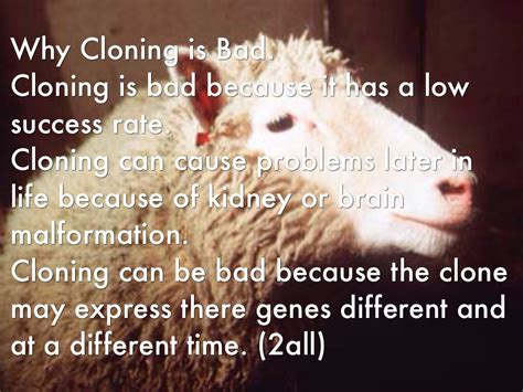 Why do people think cloning animals is bad?