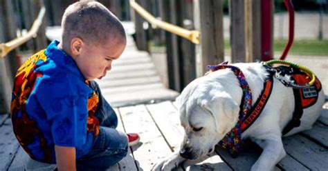 Why do people with autism love animals?