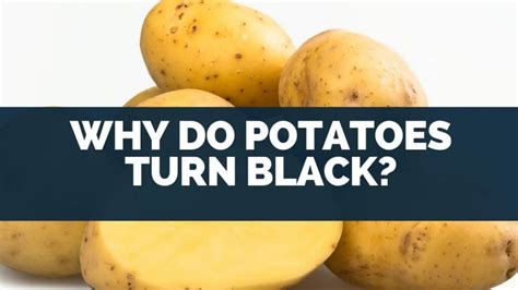Why do potatoes turn black overnight?