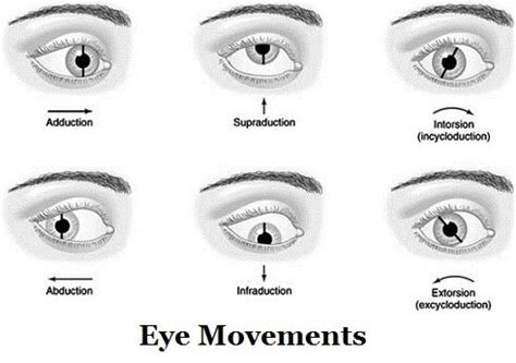 Why do psychopaths hate eye contact?