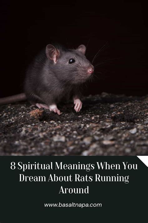Why do rats run towards you?