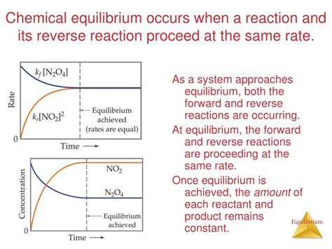 Why do reverse reactions occur?