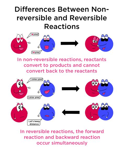 Why do reversible reactions never stop?