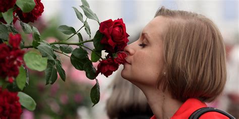 Why do roses smell good?