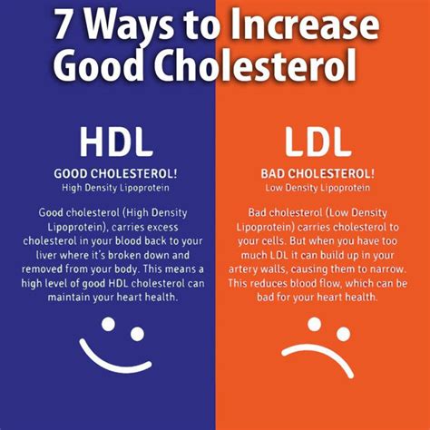 Why do runners have high cholesterol?