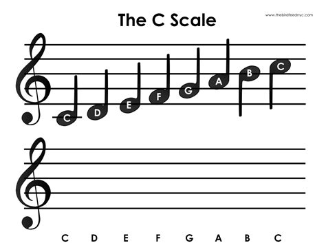Why do scales start with C?