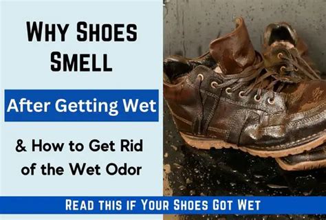 Why do shoes stink after getting wet?