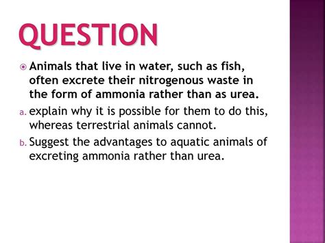 Why do some animals excrete ammonia?