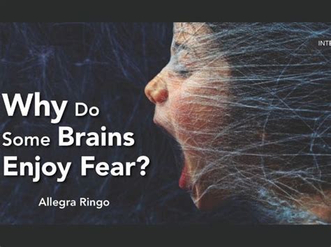 Why do some brains enjoy fear?