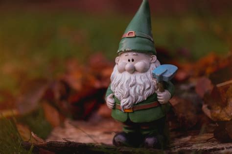 Why do some people not like gnomes?