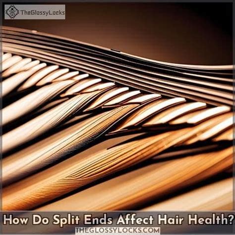 Why do split ends stunt hair growth?