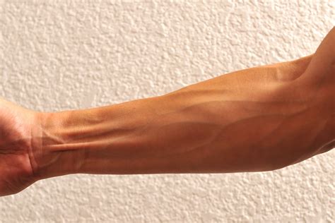 Why do veins pop out on arms?