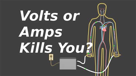 Why do volts not kill?