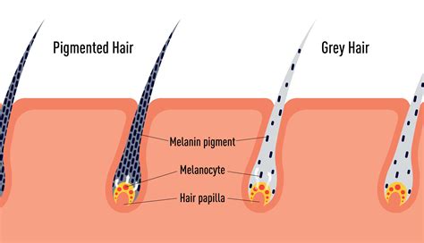 Why do we call it gray hair?