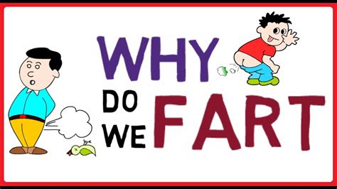 Why do we fart before we poop?