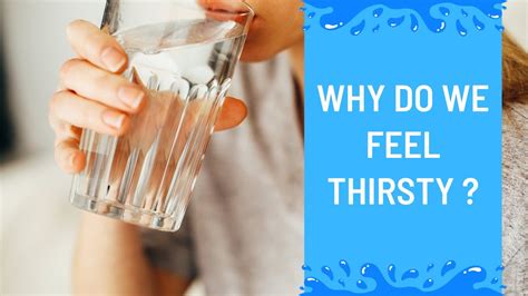 Why do we feel thirsty at 3am?