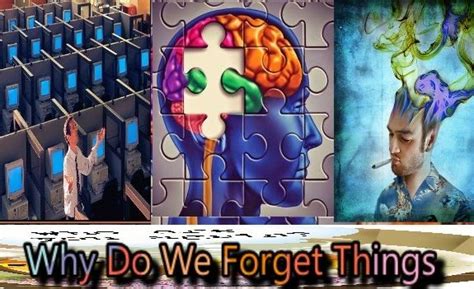 Why do we forget memories?