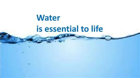 Why do we say water is life?