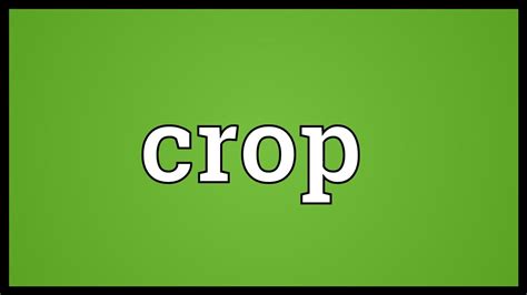 Why do you mean by crop?