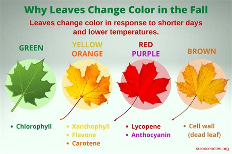 Why does Colour change happen?