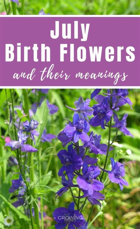 Why does July have 2 birth flowers?