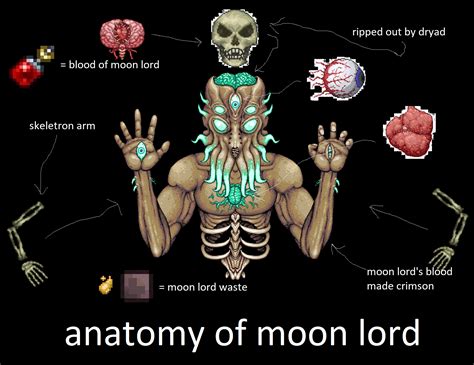 Why does Moon Lord have no legs?