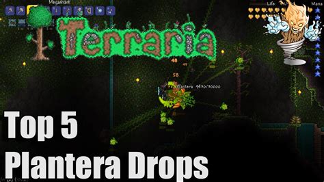 Why does Plantera drop a guitar?