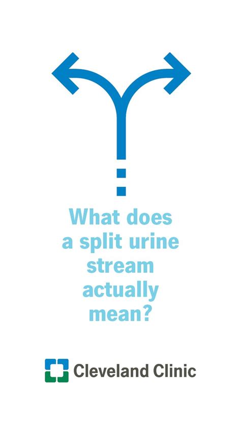 Why does a man's urine stream split?