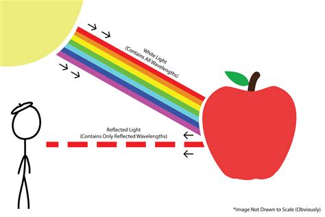 Why does an apple appear red to a human eye?