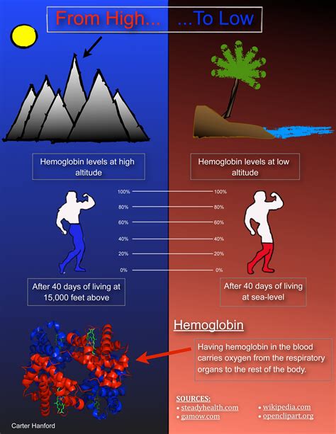 Why does blood boil at high altitude?