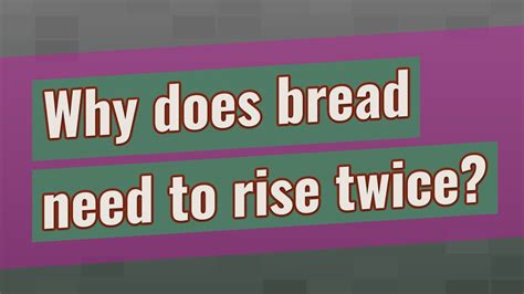 Why does bread need to be proved twice?