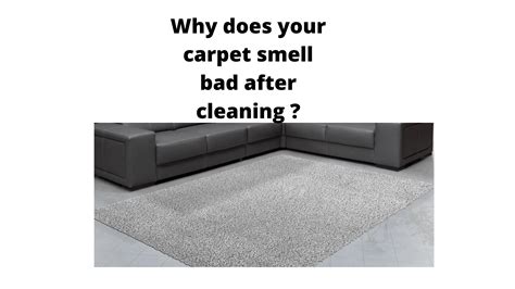 Why does carpet smell worse after cleaning?