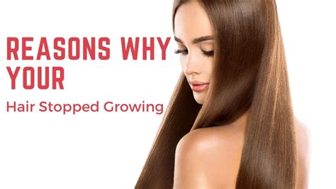 Why does damaged hair stop growing?