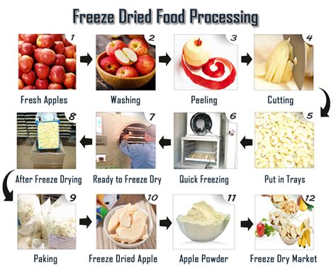 Why does freeze drying make things expand?