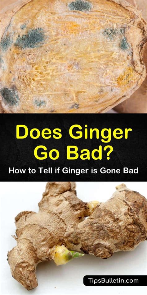 Why does ginger go bad so quickly?