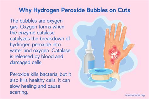 Why does hydrogen peroxide bubble?