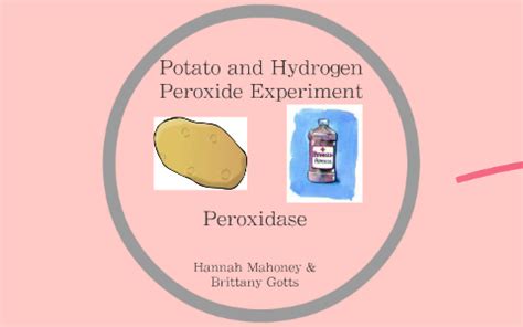 Why does hydrogen peroxide bubble with potatoes?