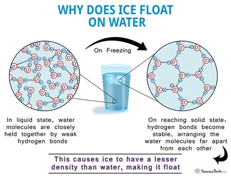 Why does ice float?