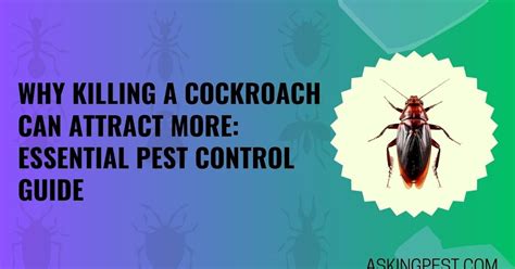 Why does killing a cockroach attract more?