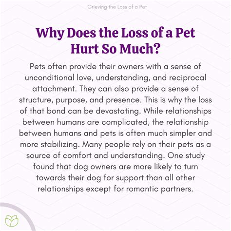 Why does losing an animal hurt?