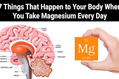 Why does magnesium make you happier?
