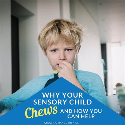 Why does my 4 year old chew on my hands?